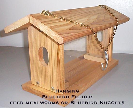 bluebird feeder design
